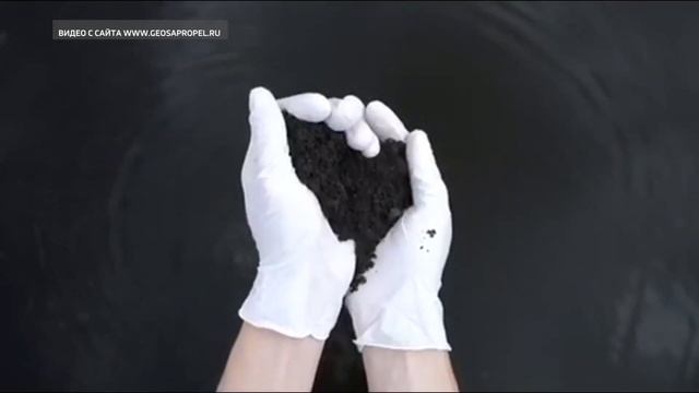 Уникальные для России остановки с травой на крыше установят в Тюменской области смотреть онлайн