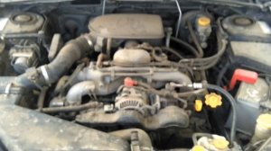 Странный звук при запуске мотора