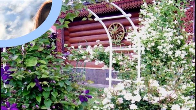 ЗАГАДОЧНЫЙ ЦВЕТОК "КЛЕМАТИС"... смотреть онлайн