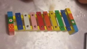 Урок игры на ксилофоне.
