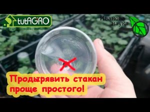 САМЫЙ ПРОСТОЙ и БЫСТРЫЙ СПОСОБ ПРОДЫРЯВИТЬ СТАКАНЫ ДЛЯ РАССАДЫ. Емкости для рассады - это важно!