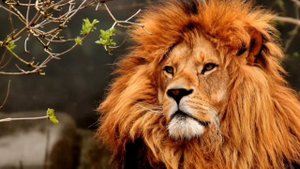 Стих о женщине Шуточный "На работе"