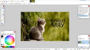 Урок 43 Программа Paint net Слои  Работа со слоями