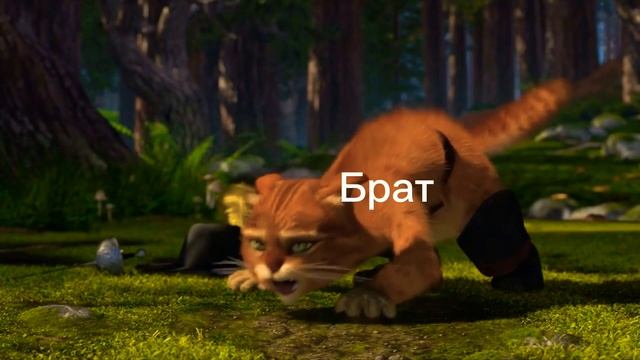 Когда брат моего двойника рожает смотреть онлайн