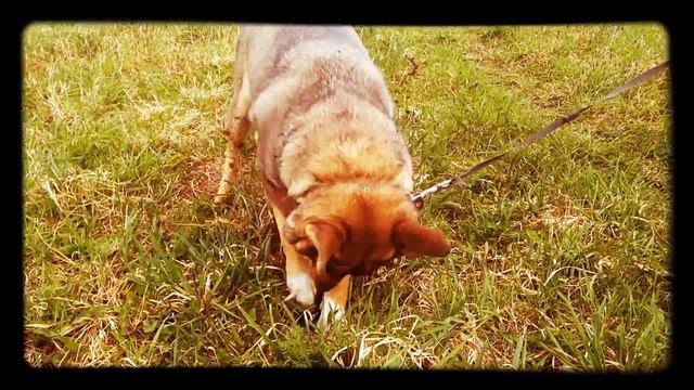 ТАЙГ - раны уже зажили смотреть онлайн