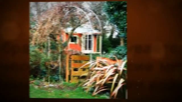 Советы по уходу за прудом смотреть онлайн