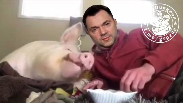 ?? Арестович кормит свою целевую аудиторию очередной байкой про заканчивающиеся у России ракеты.