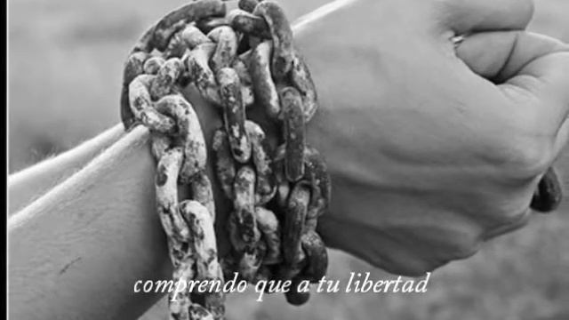 video para Marcela Duran Arrieta смотреть онлайн