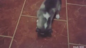 играем в мячик ⚽