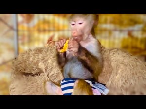 Друзья, у Люси 600 000 друзей!