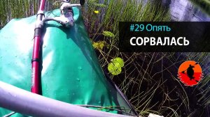 #29 Опять сорвалась | Лоухи - Энгозеро 2017 | Приключения на байдарке