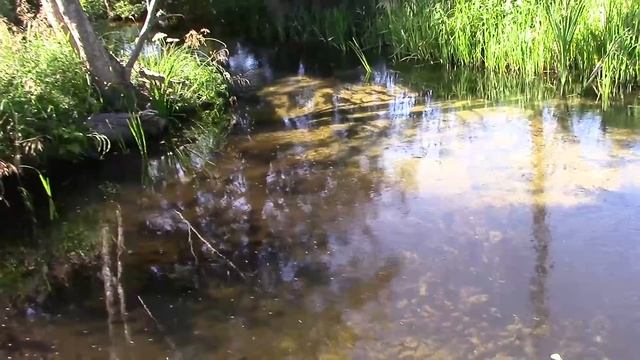 А любите ли вы РЕЧЕНЬКУ так же как Художник в ДЕРЕВНЕ на своем солнечном участке