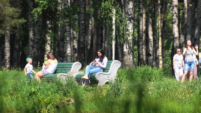 Летом в городском лесопарке