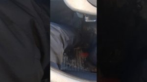 авто урок( правильное расположение ног,на педали управления автомобилем)