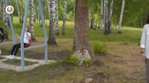 О работе в компании "Копытный Сервис"