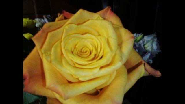 RUBBISH смотреть онлайн