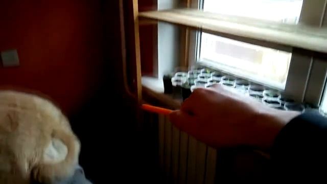 Стеллаж полка для рассады смотреть онлайн