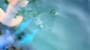 Злые Акулы нападают! Приключения Акул. Видео для детей - Игрушки Акулы. ДИНОЗАВРЫ. Игрушки ТВ