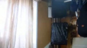 Стереоусилитель на микросхеме 7265