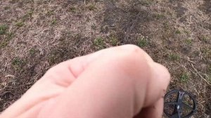 Находки по скифам.