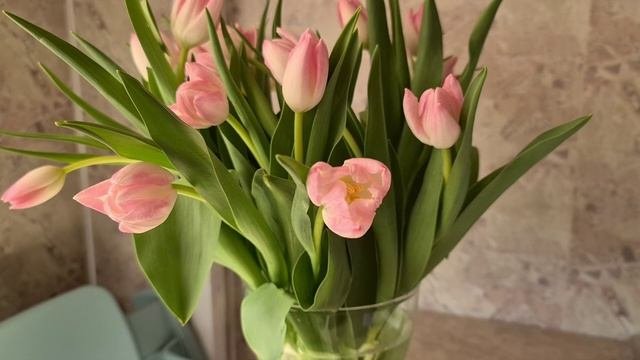 Tulips ?