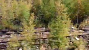 Отправление со ст.Чильчи.рабочий поезд развозит путейцев.участок Юктали-Лопча.