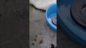 КАК СНЯТЬ МАГНИТ С 12" САБВУФЕРА? ДЛЯ КАСТОМА И ТП, В ДОМАШНИХ УСЛОВИЯХ ЛЕГКО И ПРОСТО!