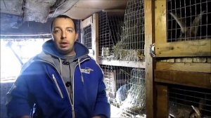 Как определить пол у крольчат! / Когда время ставить маточник Крольчихе!