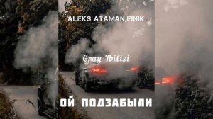 ALEKS ATAMAN , FINIK - ОЙ ПОДЗАБЫЛИ