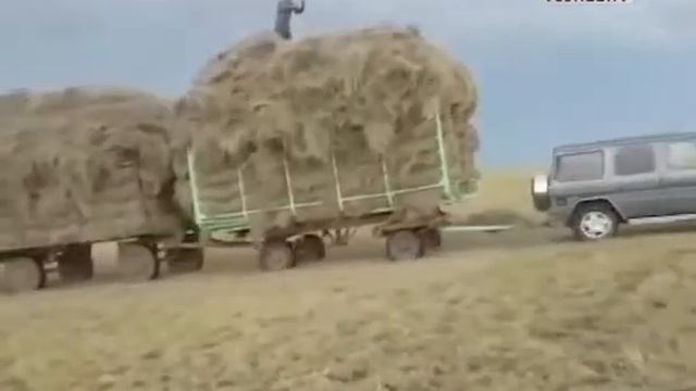 В сети появилось видео, на котором алтайские крестьяне везут сено на «Гелендваге смотреть онлайн