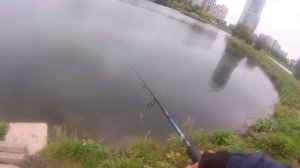 рыбалка в сентябре! шнурок! на спиннинг!Санкт-Петербург