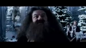 Приколы по Гарри Поттеру