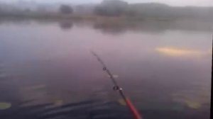 Ловля окуня на балду.