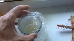 Как избавиться от мошек в квартире.