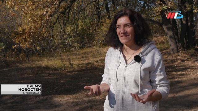 С Красной книгой по грибы: в медуниверситете рассказали о грибах, растущих в Волгоградской области