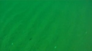 ПОДВОДНАЯ ОХОТА НА КАМБАЛУ