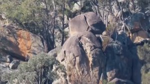 Canon SX 70 HS Zoom test at 710 meters