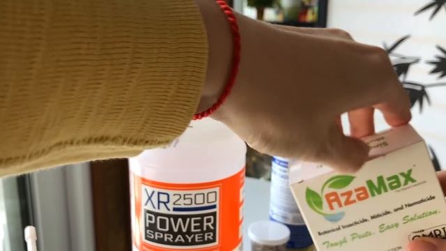 Борьба с Вредителями комнатных растений, защита растений, как избавиться от клещей, трипсов и т.д. смотреть онлайн