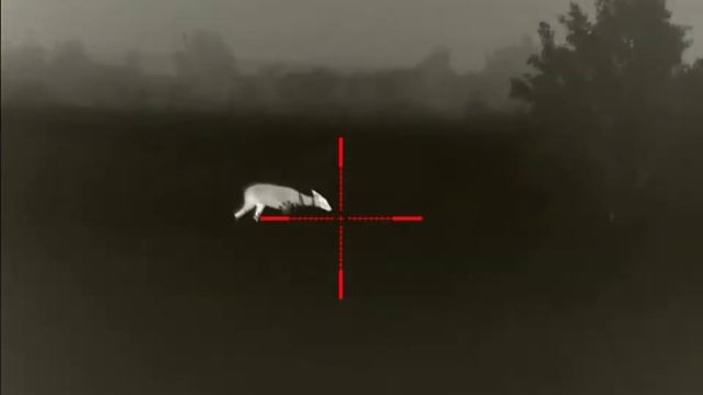 Rico RH50 LRF смотреть онлайн