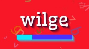 HOW TO SAY WILGE? #wilge