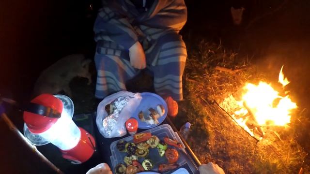 Рыбалка с НОЧЁВКОЙ-ловим КАРПА ВЕСНОЙ-карп НА ЧЕРВЯ замерзли удилища и катушки! смотреть онлайн