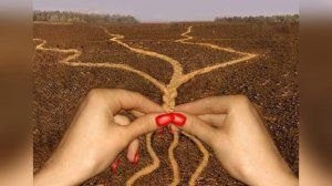 Ирина Шах "Дороги судьбы" читает Любовь Б.