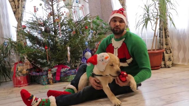 Новогоднее поздравление.Итог уходящего года. смотреть онлайн