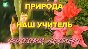 Природа - наш учитель. Философия Лидоринки.