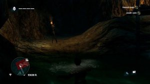 Assassin's Creed 4 - Treasure Map 479, 487