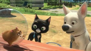 12 лучших фильмов про хомяков