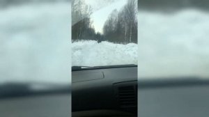 Источник Терсинка Осиновое плёсо