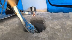 Озеро Шаблиш КАТАСТРОФА !!! Тралят озеро тракторами, не проходи мимо - предложи путь к спасению!!!