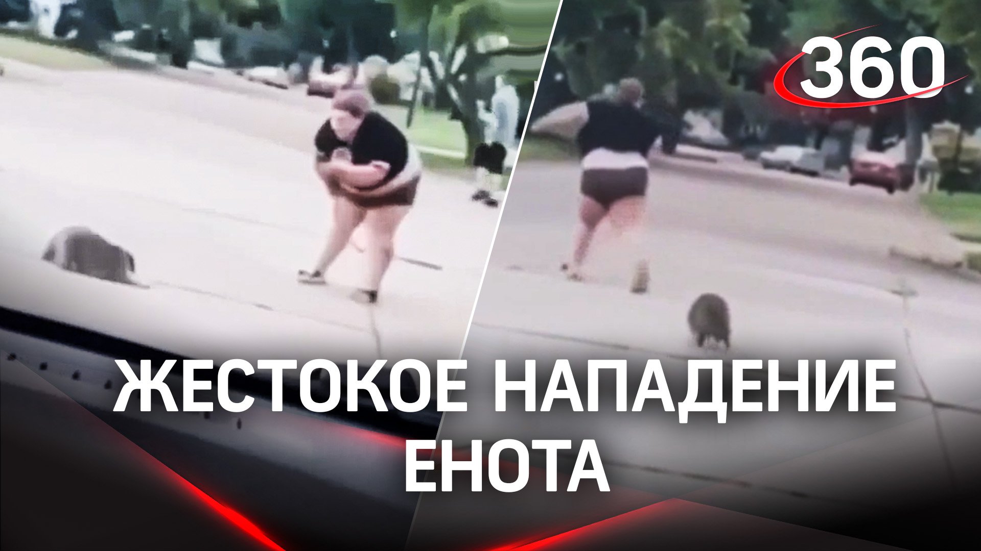 Женщина хотела убежать от бешеного енота, но споткнулась и упала