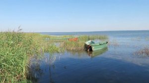 Плещеево Озеро: Берег, Пляжи, Купаюсь В Озере